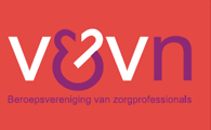 logo V&VN